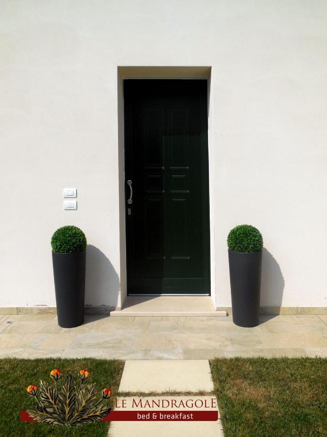 Le Mandragole B&B Roncade Ngoại thất bức ảnh