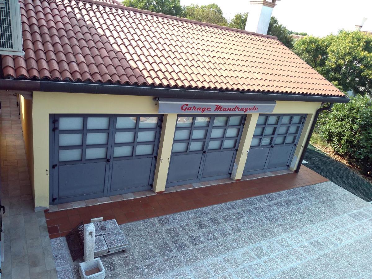 Le Mandragole B&B Roncade Ngoại thất bức ảnh